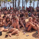Image for article titled Watch a documentary about the festivalgoers trapped in Panama due to COVID-19 lockdowns
